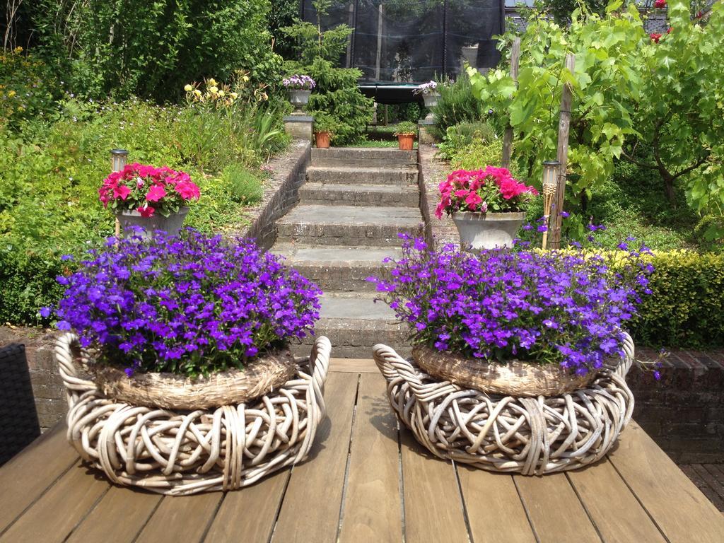 Bed and Breakfast Huize Mesch Eijsden Exterior foto